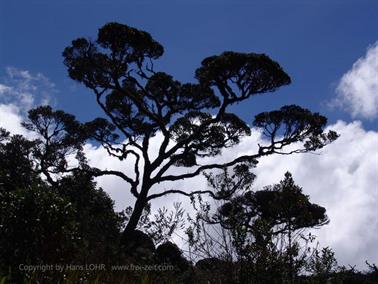 Bandarawela,_World`s_End,_DSC06991B_H600